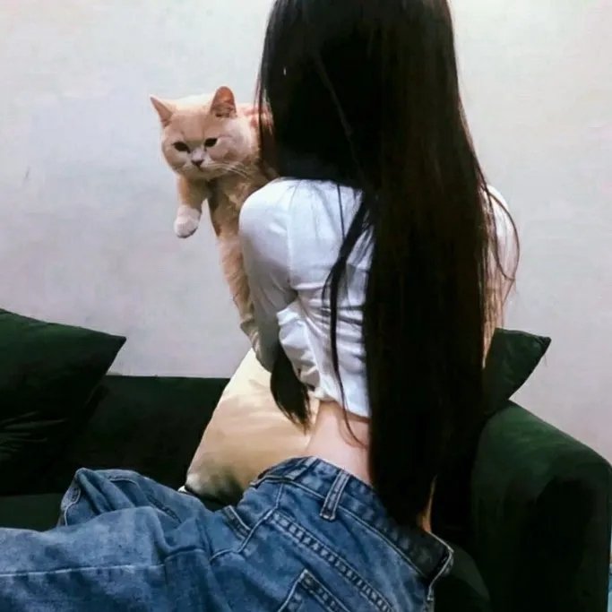 壁花女孩梦游中
